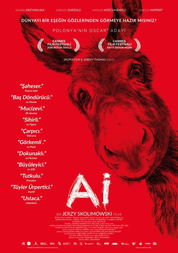 BU CUMA VİZYONDA YER ALACAK  FİLMLER BELLİ OLDU 