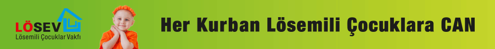 https://www.losev.org.tr/v6