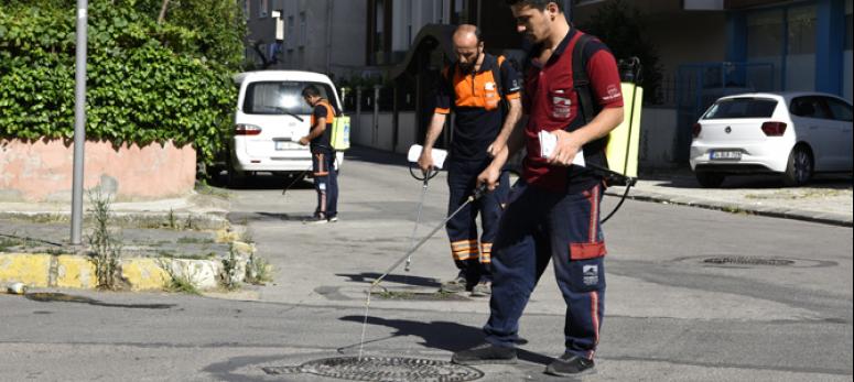 PENDİKTE CADDE VE SOKAKLAR PIRIL PIRIL